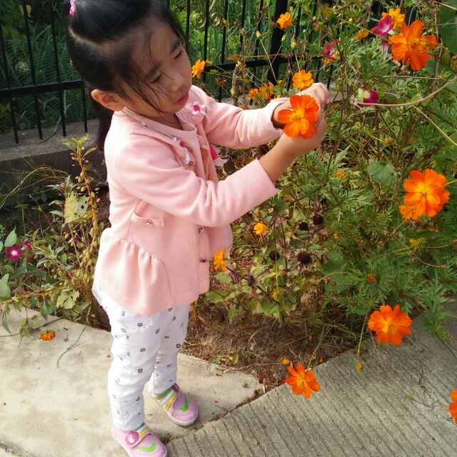 龙爱量子大骗局,贼喊捉贼! 微赞