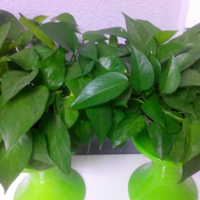 高速出险,下高速后24小时内报案,只能按照无现