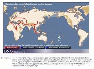 {转}人类起源和全球迁徙(下)