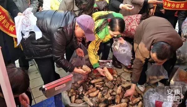 安康人太给力了,万余斤莲藕一小时被抢购完!