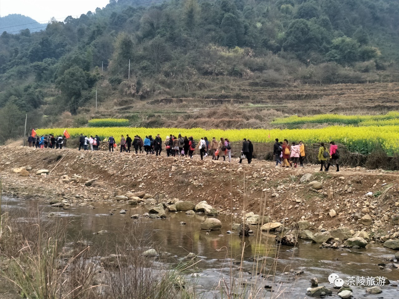 龙江峡是茶陵县今年新开发的旅游景点 今年的游客量已达到上几万人次