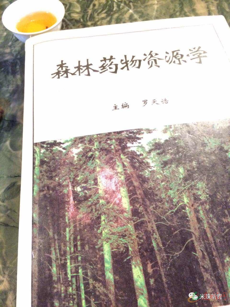 连城郑姓人口_郑姓头像