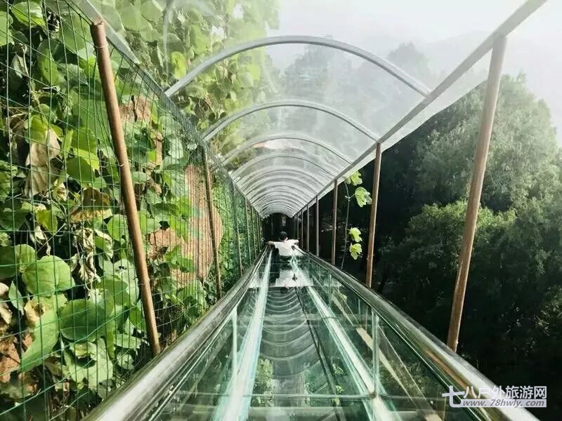 这条玻璃天桥已经不仅仅只是恐怖、惊吓的尖叫 而是处处的惊喜 让每一个走过玻璃桥的人 都有不一样的路 不一样的身高 不一样的体重 会产生不一样的玻璃碎裂花纹和不一样的音效 这种走天梯的感觉 还能将九龙谷的美丽风景尽收眼底 纵横群山之间 恍若人间仙境 再请近距离看下九龙谷的全息7D玻璃天桥 [[img DATA-COPYRIGHT="0" DATA-RATIO="0.