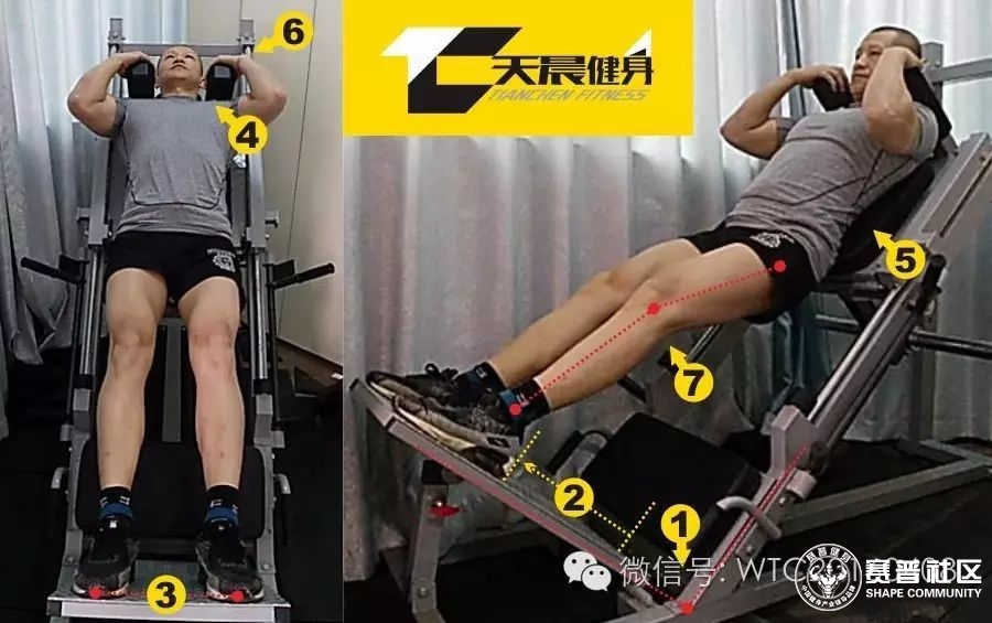 斜蹲机哈克深蹲--技术动作解析