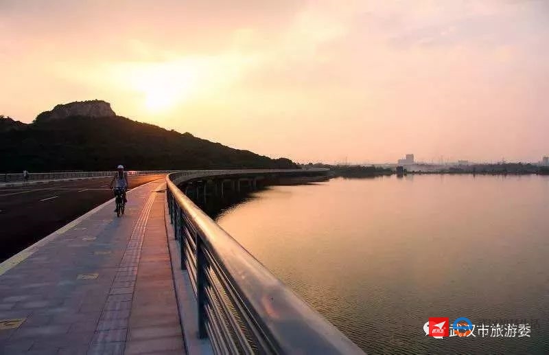 生态休闲  城市绿心 武汉之秀美,在于春林渐盛的生动,出水芙蓉的清绝