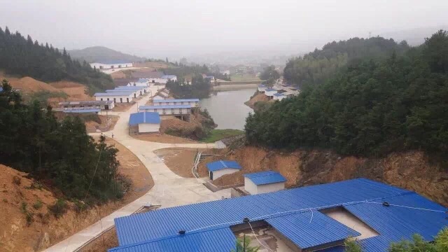 一家专注玫瑰红鞭炮生产厂家寻求鞭炮机械,原