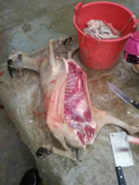 黑山羊肉出售,现杀现卖,25一斤,一只起送,,活体羊出售