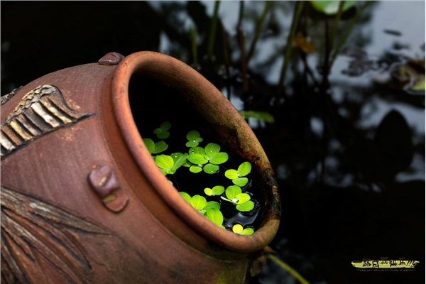 2018春节5期岘港闹春-《国家地理》世界50大