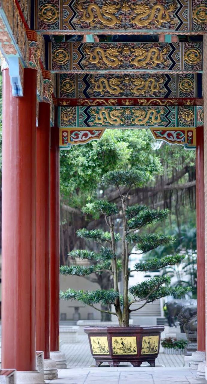 日丽瑶台,云飞画栋;香凝宝殿,乐奏钧天。--不