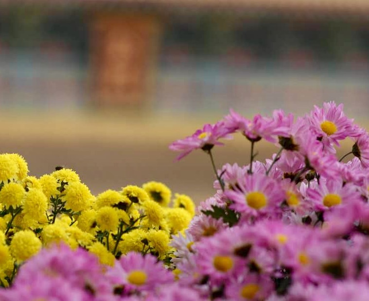 日丽瑶台,云飞画栋;香凝宝殿,乐奏钧天。--不