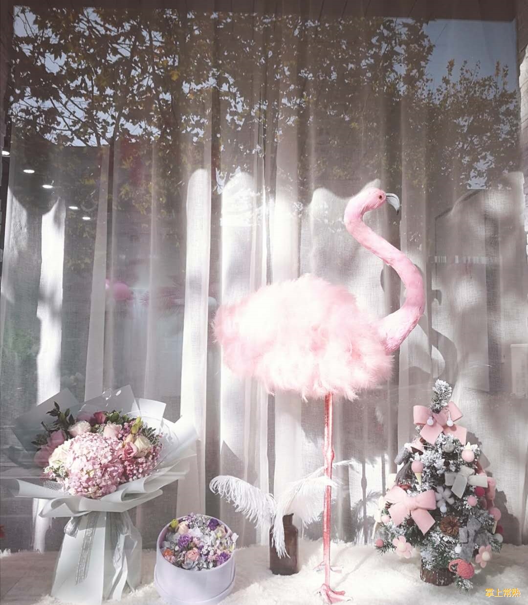 常熟虞山镇引线街58号 花遇 花店!招聘花艺师助