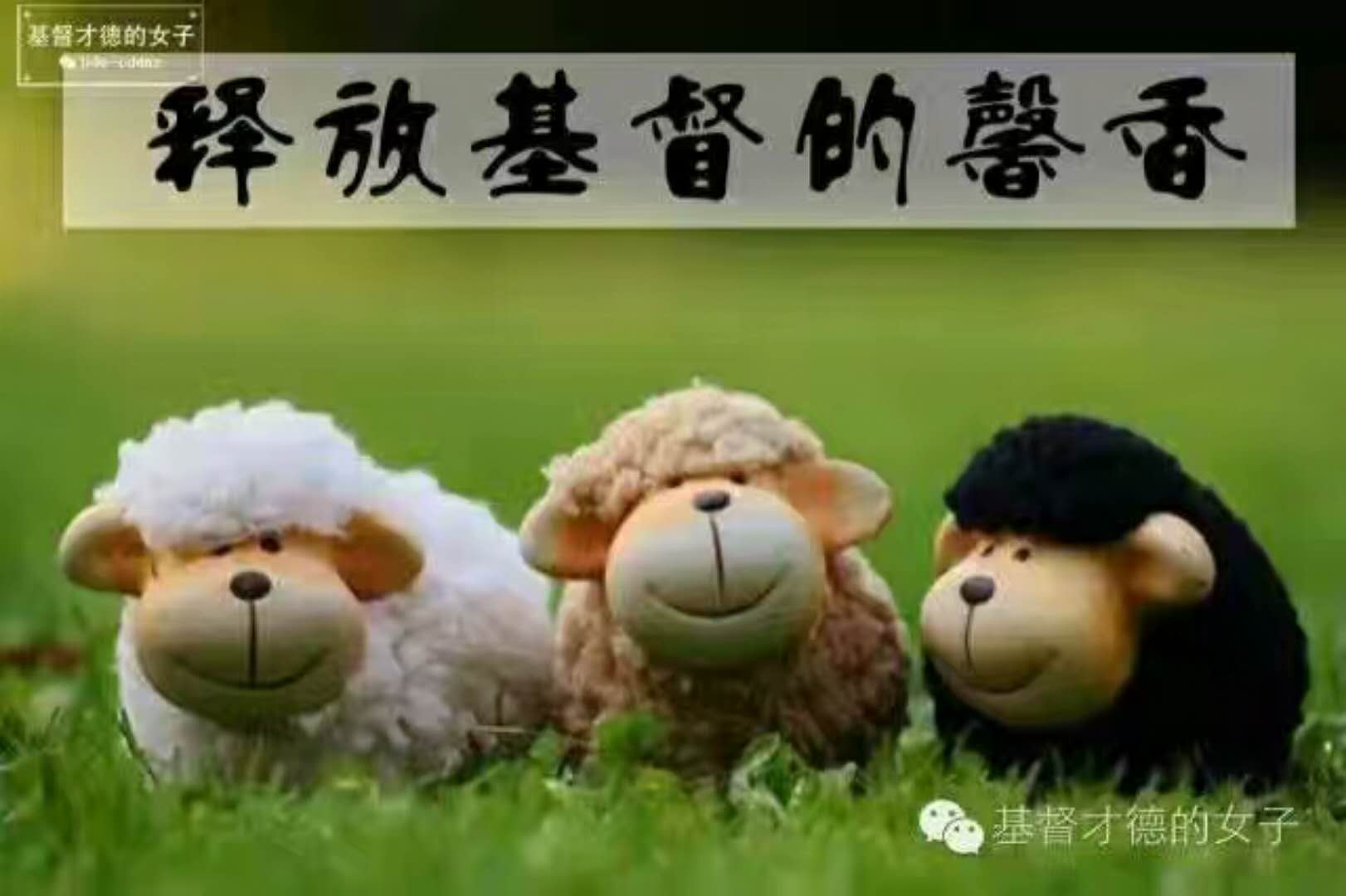 《中国的早晨五点钟》中国的早晨五点钟,传来祈祷声,祈 + _微赞云社区_微赞