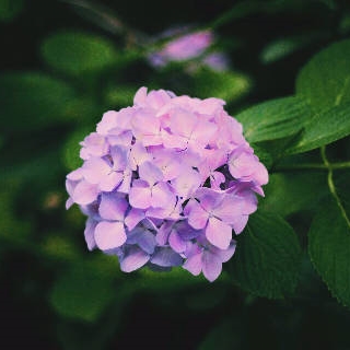 郑集镇韵达快递转让,包括郑集黄集何桥,因个人