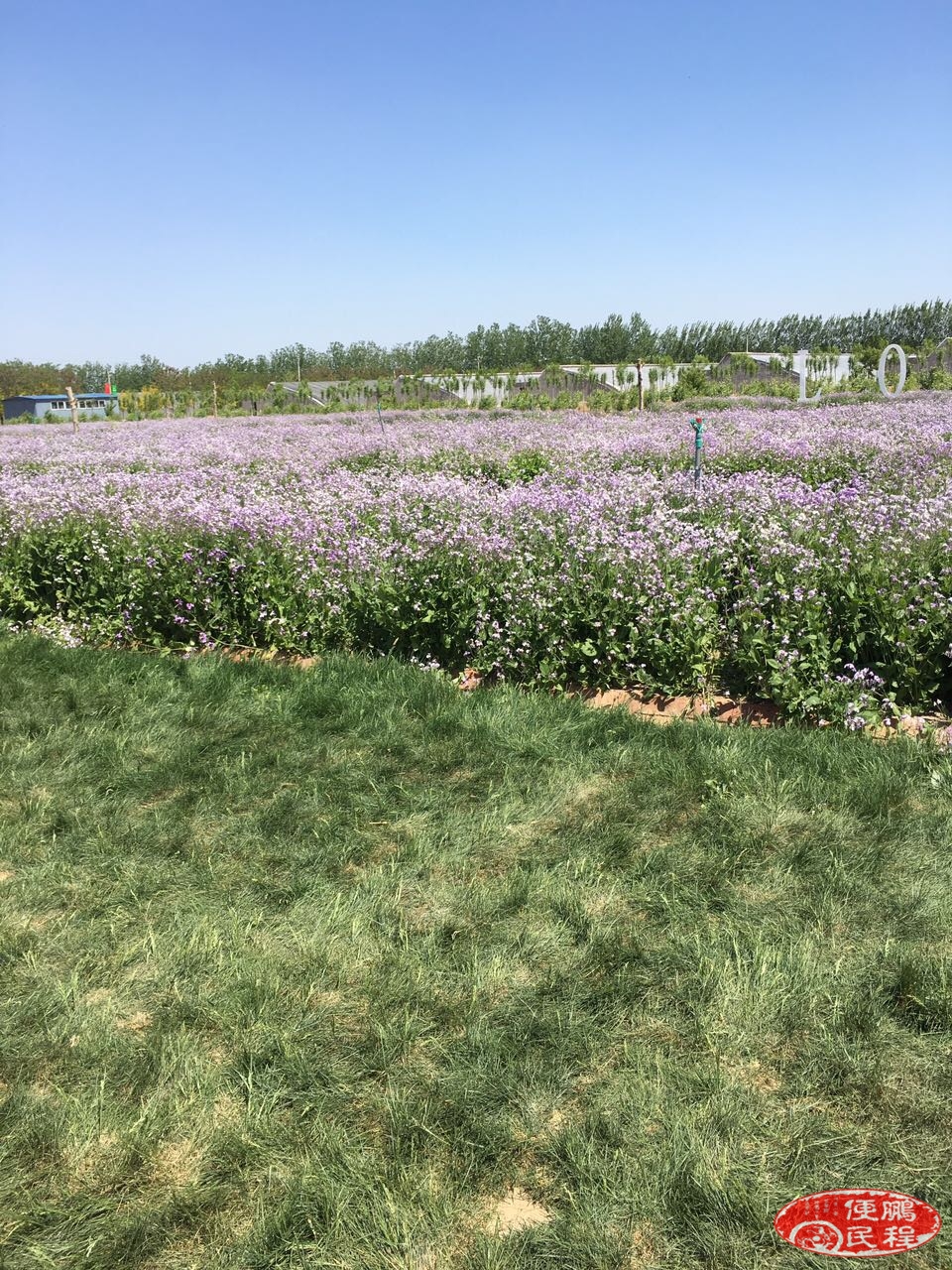 招安装工,急需招出门去沈阳安装光伏工人,工资