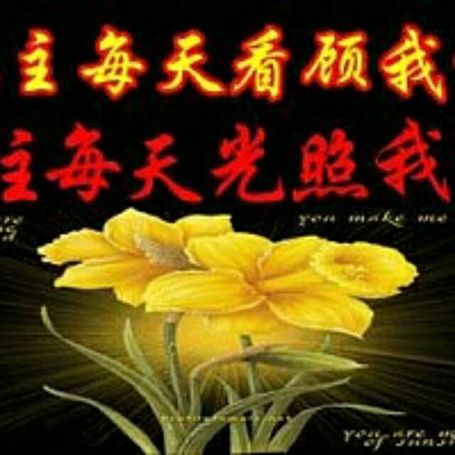 感谢主耶稣赐给我的大爱