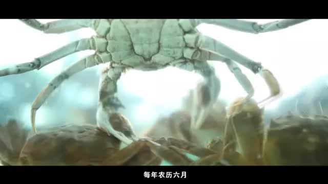 一座城池一道父子:翟氏六百年美味香辣蟹作文v一座的美食图片