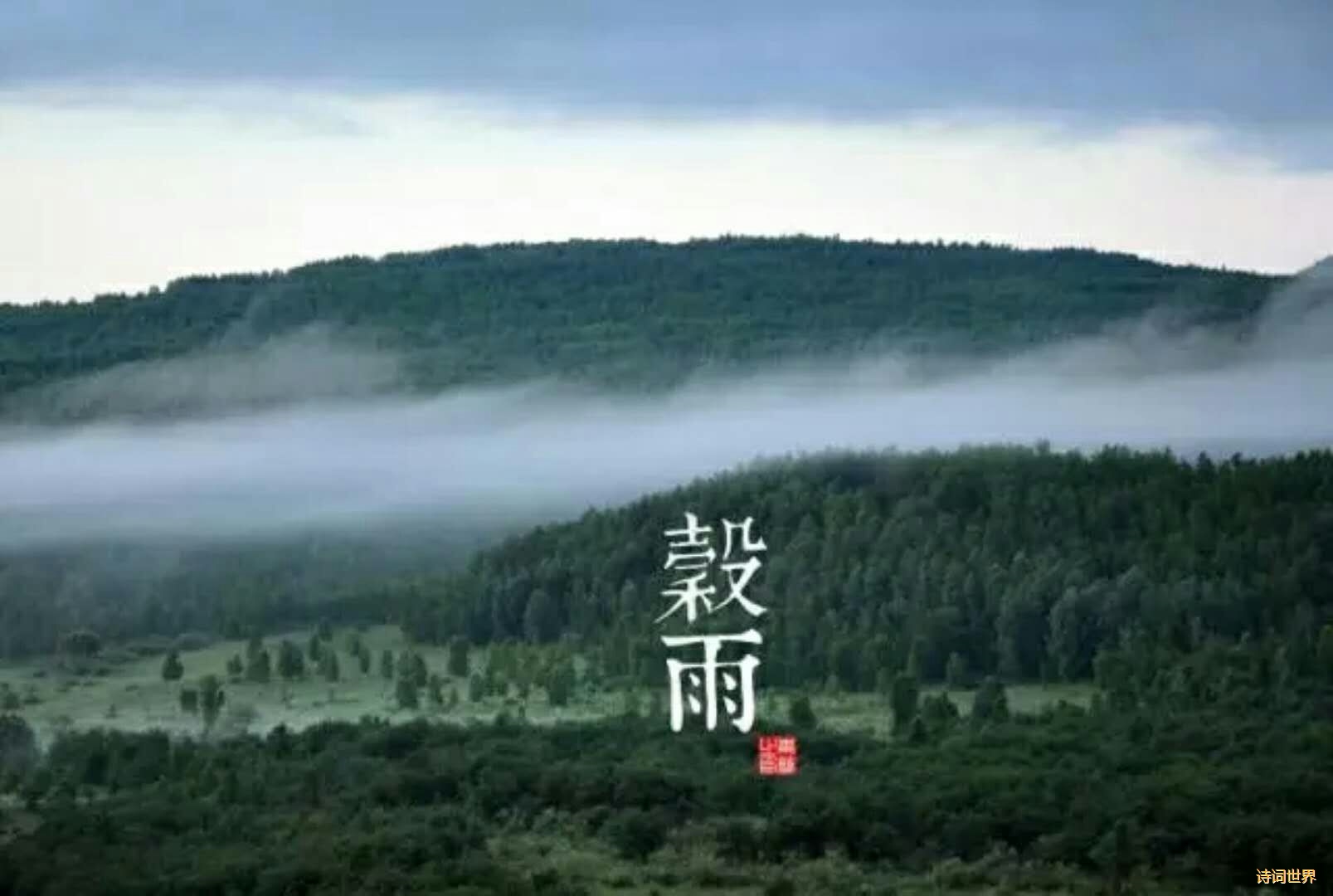 《二十四节气歌》立春梅花分外艳,雨水红杏花