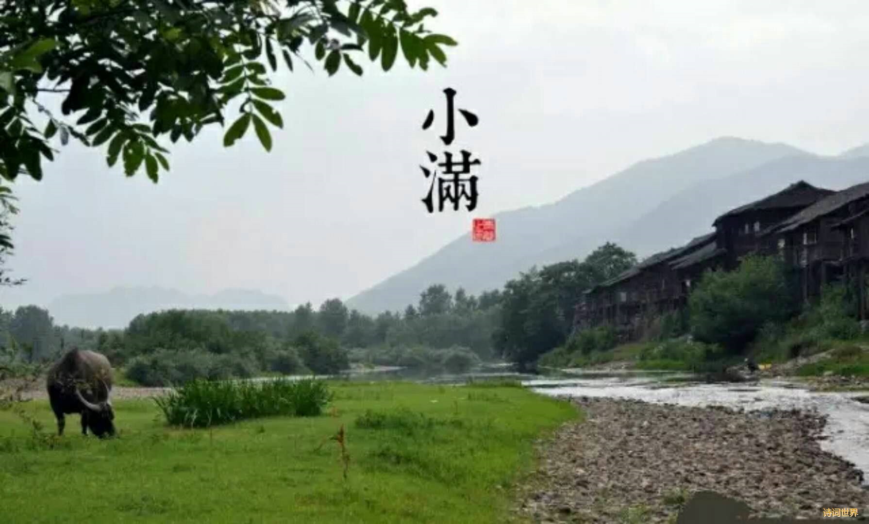 《二十四节气歌》立春梅花分外艳,雨水红杏花