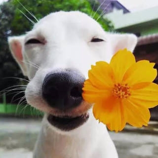 急招聘书店兼职人员:具体要求:女,年龄17-28岁