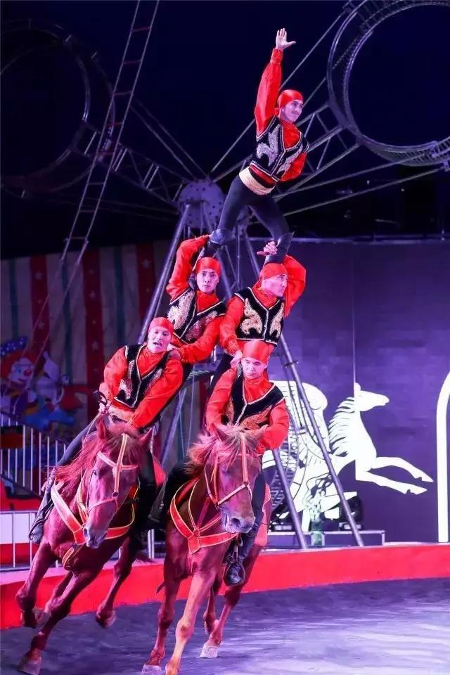 中国皇家马戏团图片