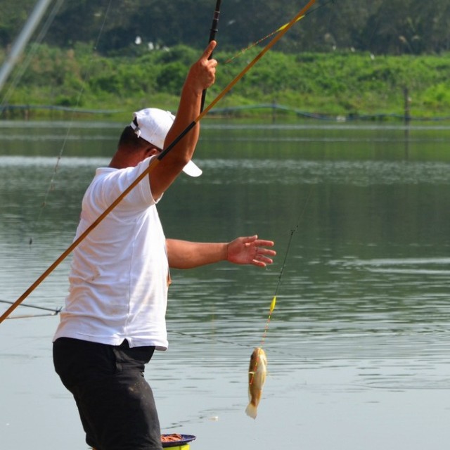 钩尖江湖第34期 就这样去钓鱼 顺其自然钓之道