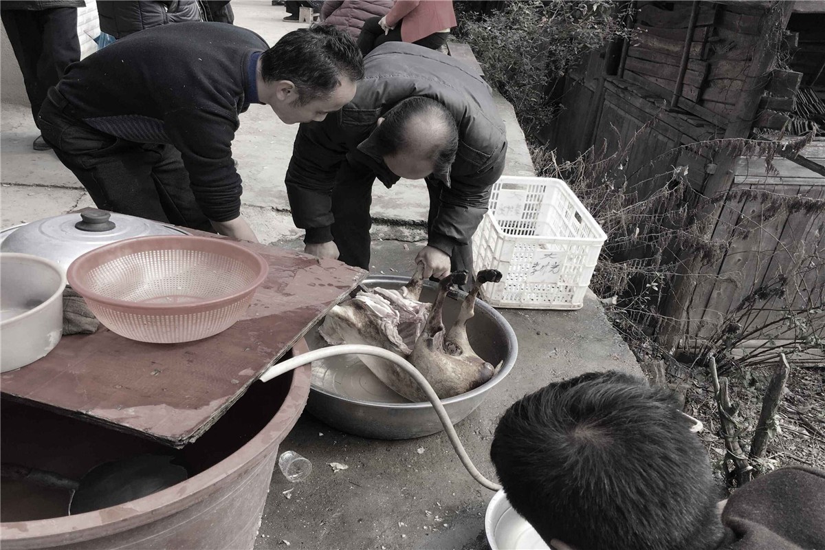 厨师们杀鸡宰羊