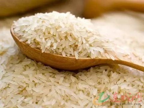 心想:"我不如把石洞凿大一点,让它好多出点米,一来省得天天去等,二来