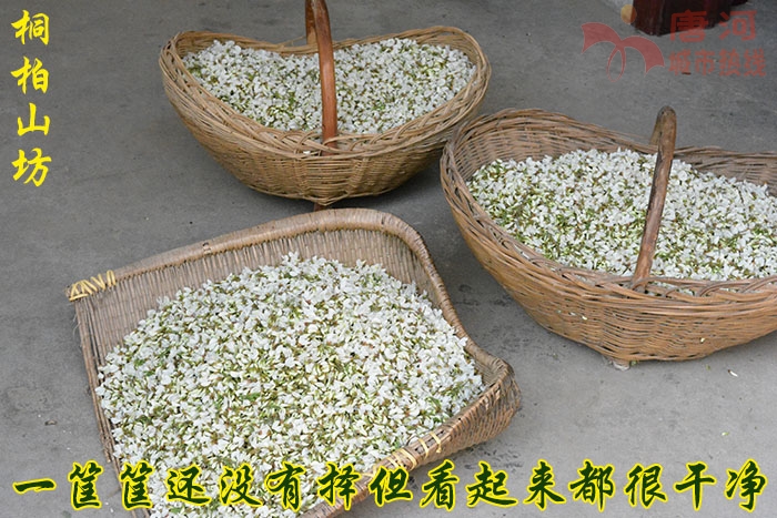 桐柏山野菜珍珠花图片