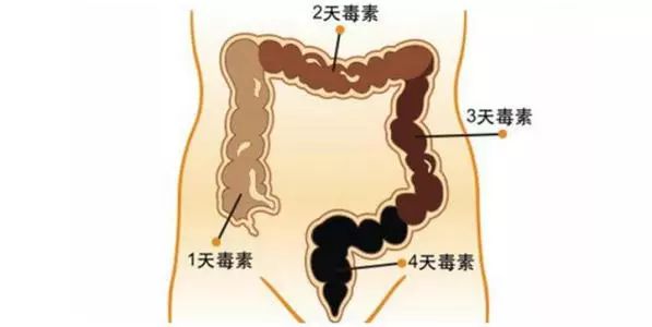 這是因為,汗液中98%~99%的成分是水和電解質(鈉,鉀,鎂,鈣,磷等).