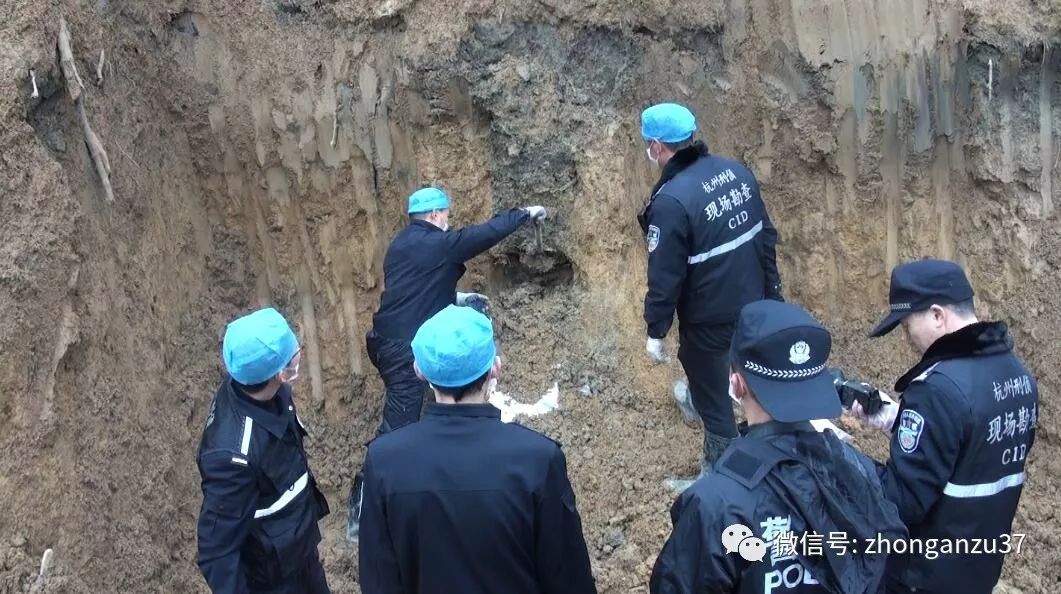 年1月17日,桐庐警方动用两台挖掘机,连续挖掘14天才将王海涛尸体找到