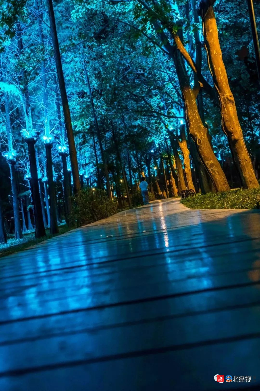 这个角度的东湖绿道,你一定没看过!这个夏天刷爆武汉人朋友圈