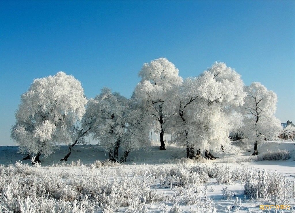 2,银装素裹洗尽铅华—雪乡