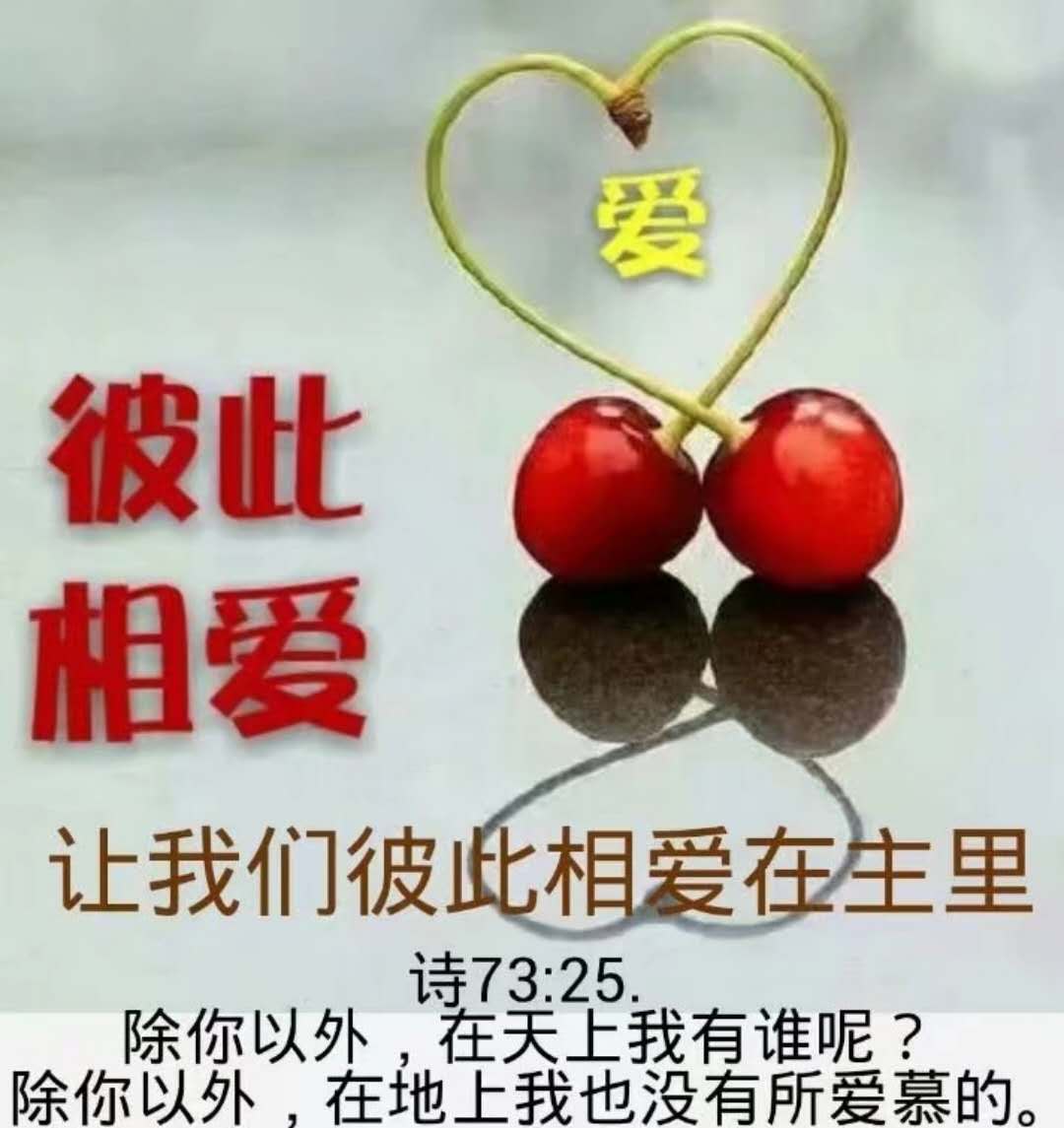 不要以自己的标准来要求别人