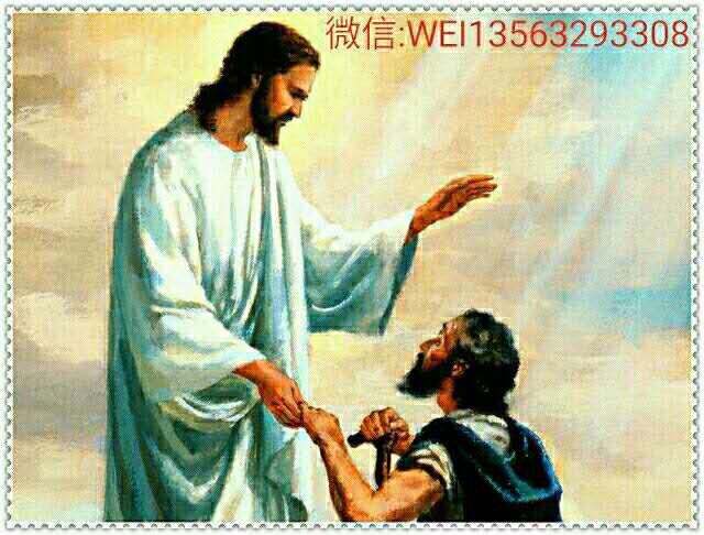 在圣诞   _微赞云社区_微赞