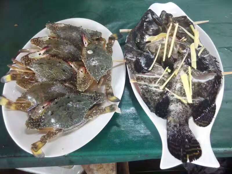 大亚湾小桂湖北排 海钓休闲海鲜好去处