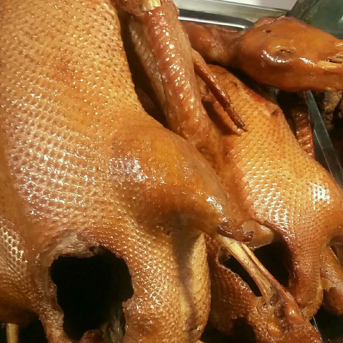 吴山行密贡鹅全国加盟店新泰店开业了