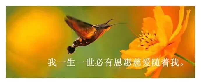 《一生一世 我属于你》我的心 惟有你,我的灵 渴慕你我全   _微赞云