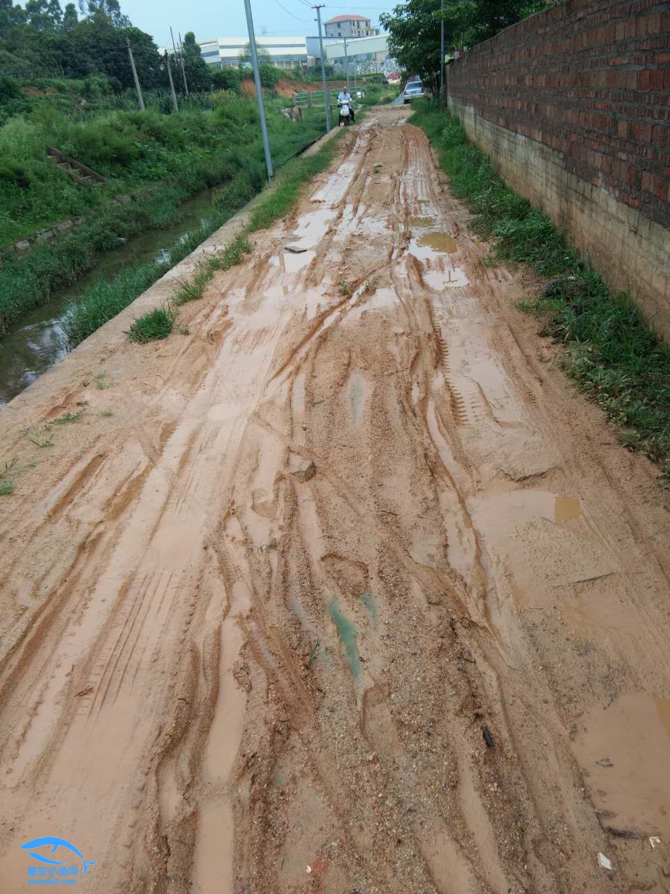 有這樣的一條路,一到下雨天就泥濘不堪