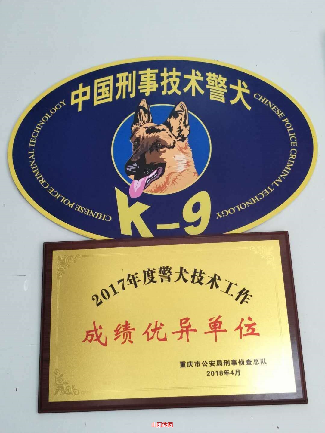 警犬技术专业招生