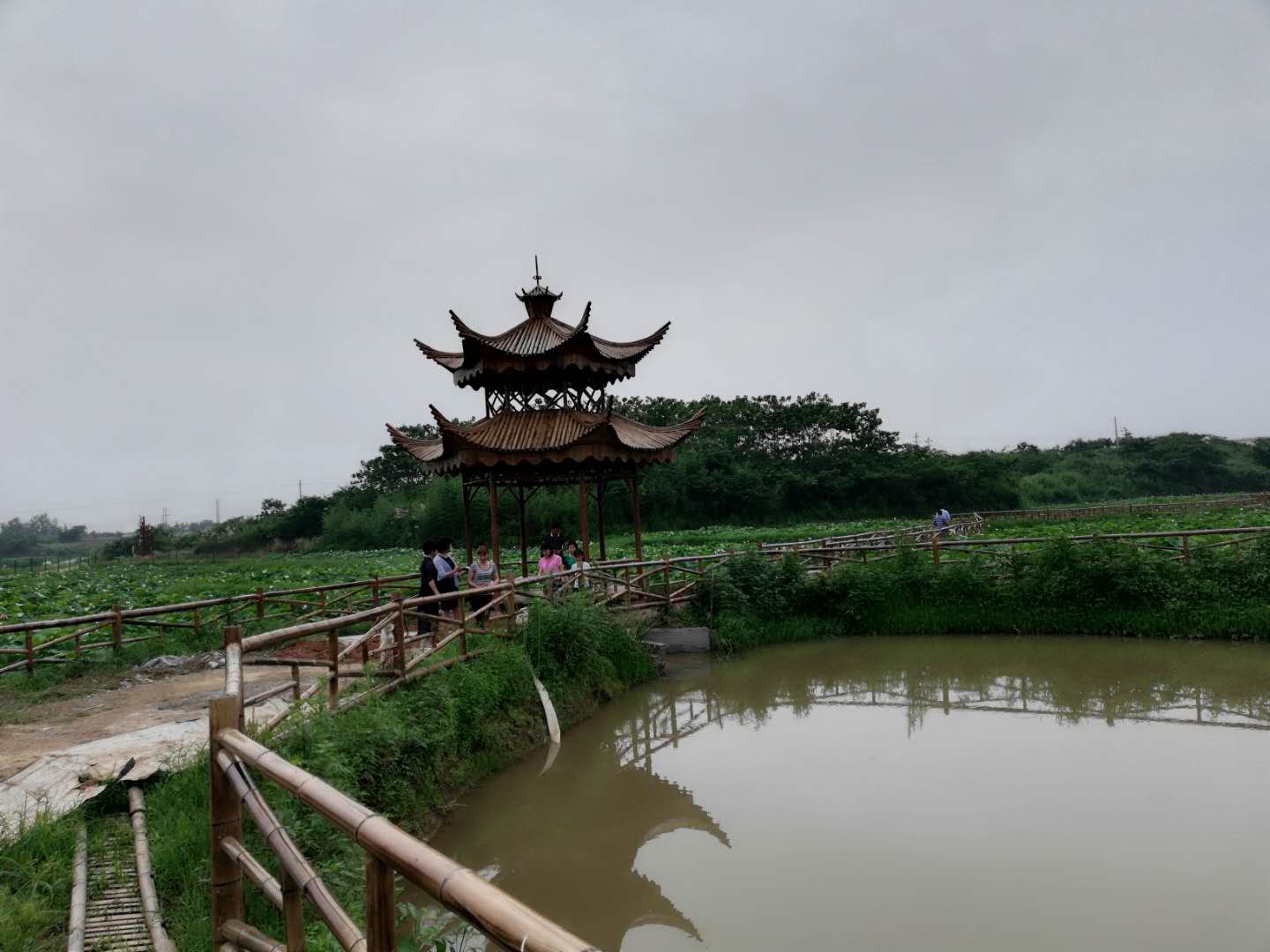 彭澤黃嶺鄉鳳凰頸綜合觀光園