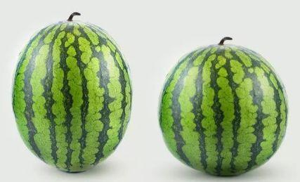 生活小妙招|原来这么多年,我们的西瓜吃法都太low了!